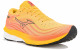 Mizuno Wave Skyrise 5 M Chaussures homme